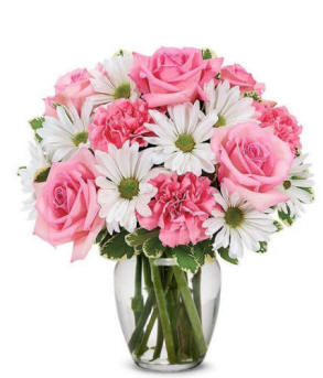 Daisy Rose Delight 39.99